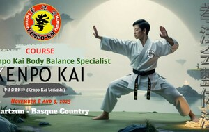 kenpo kai seitaishi 