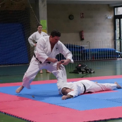 stage goshin jutsu