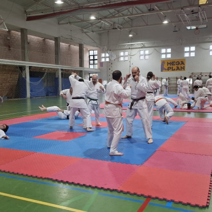 stage goshin jutsu