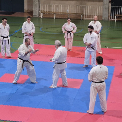 stage goshin jutsu
