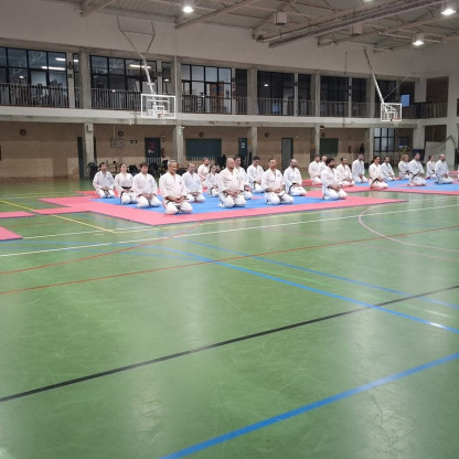 stage goshin jutsu