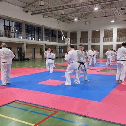 stage goshin jutsu