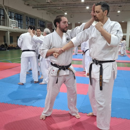 stage goshin jutsu
